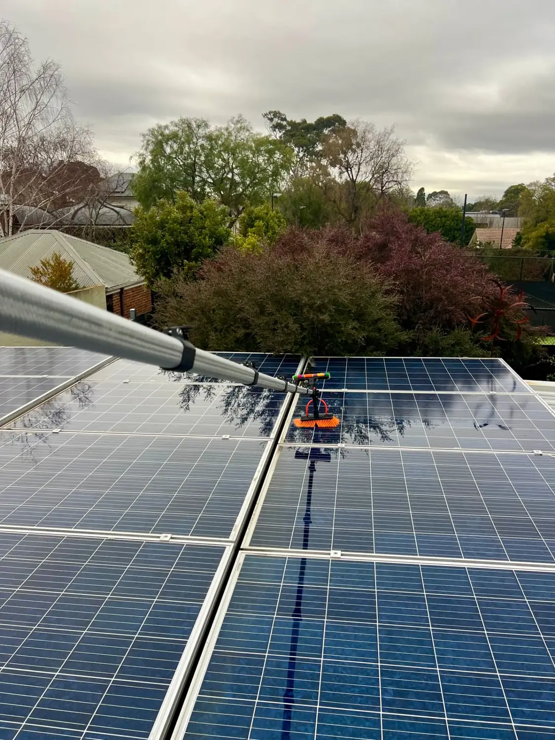 Solar Panel Cleaning after Poli Clean
