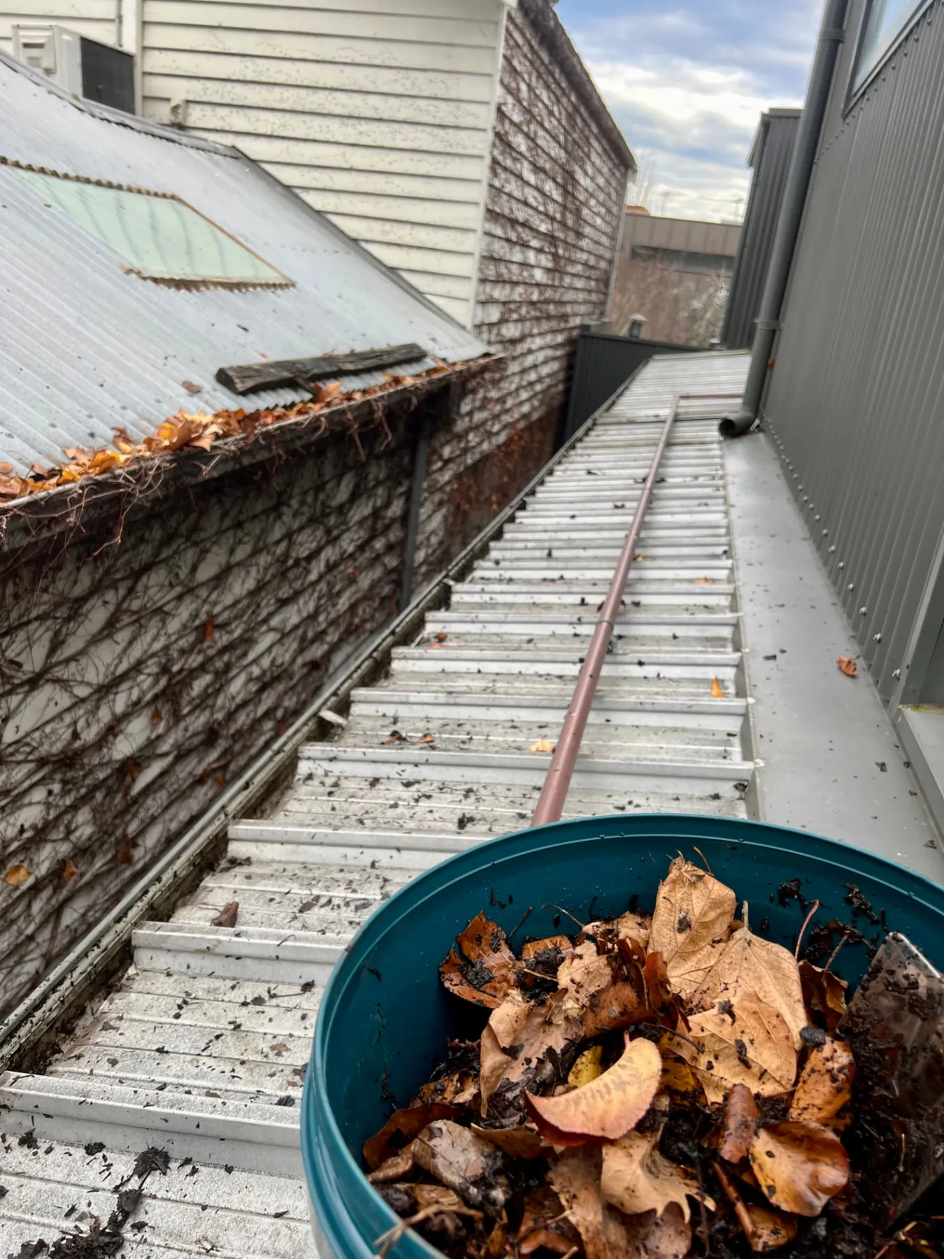 Gutters cleared on a Melbourne home