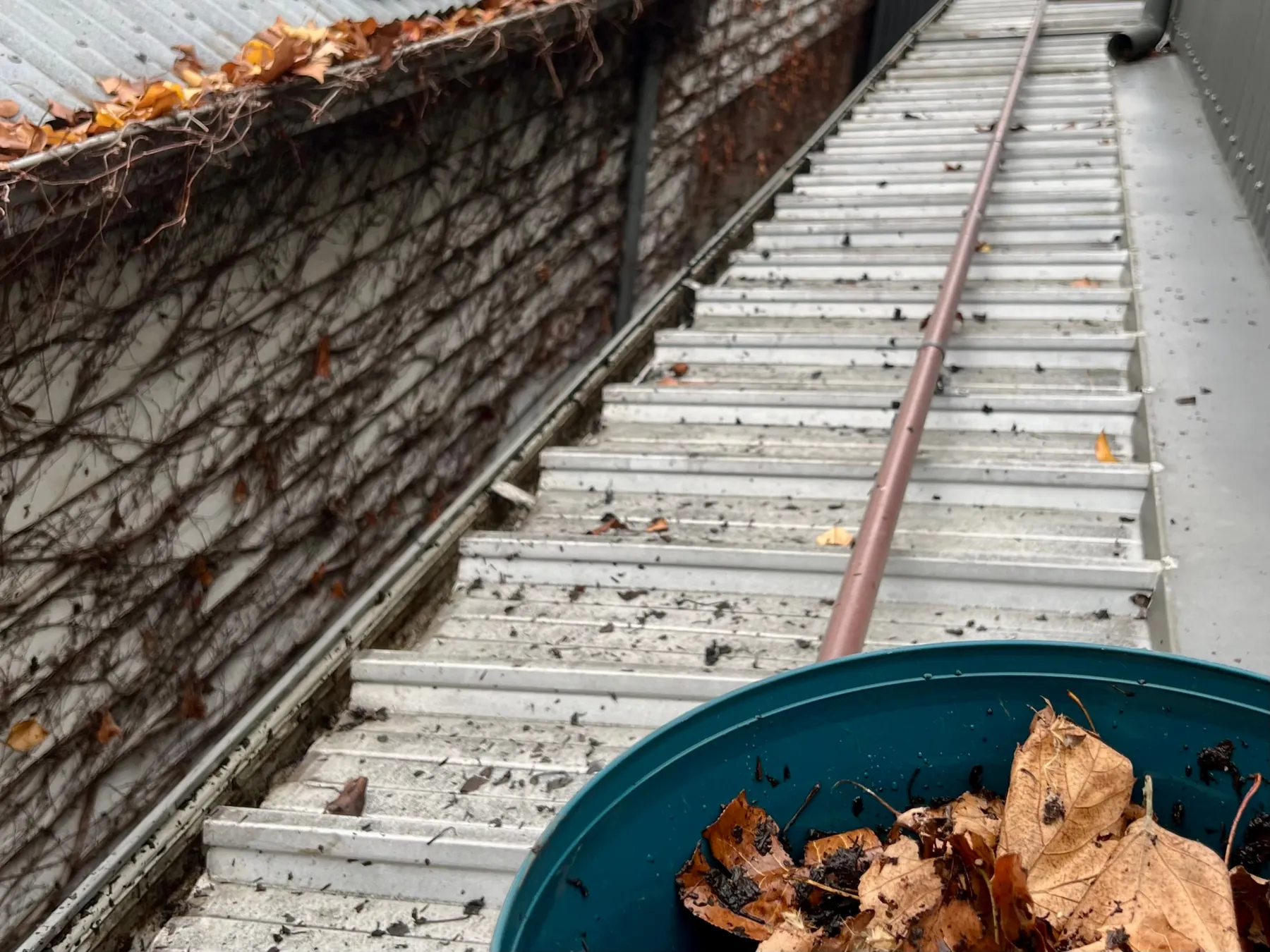 Gutter Cleaning job by Poli Clean in Melbourne