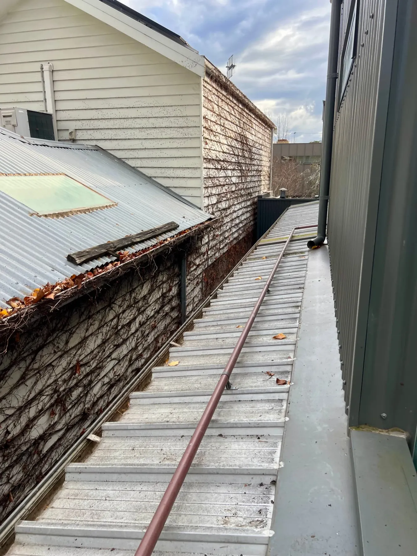 Gutter Cleaning after Poli Clean
