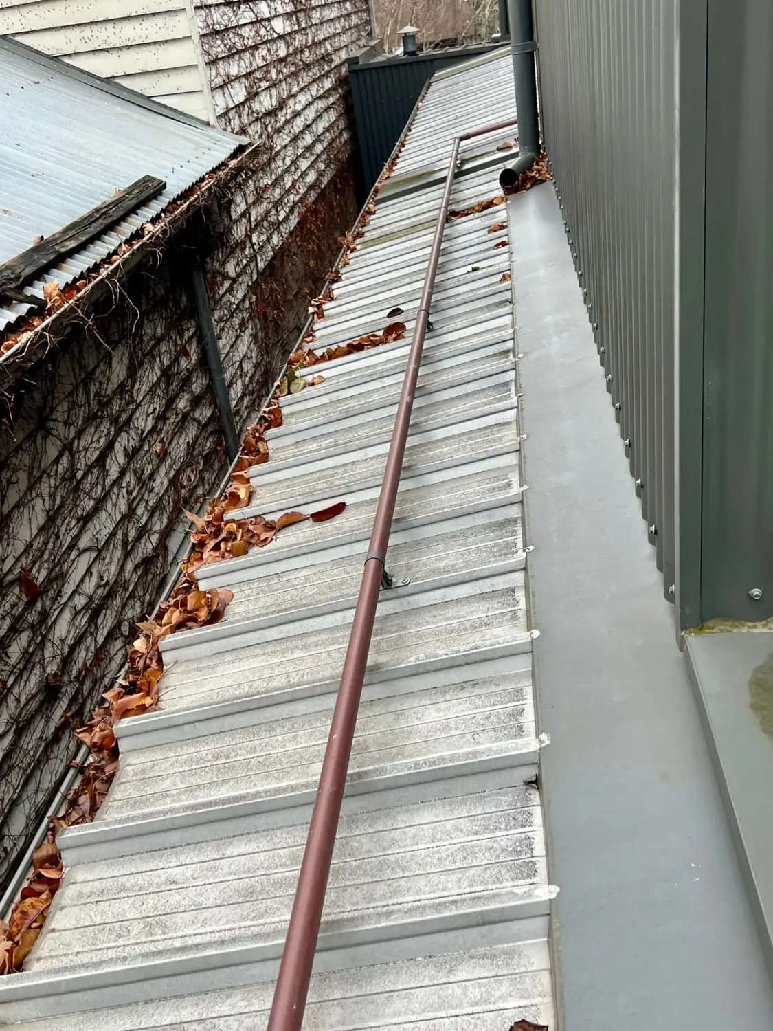 Gutter Cleaning before Poli Clean